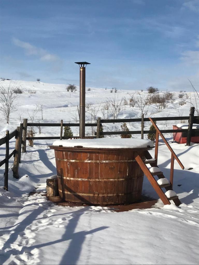 Pensiunea Cheile Apusenilor Sandulesti Exterior photo
