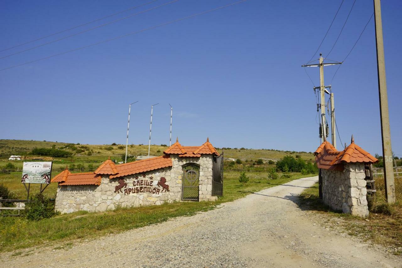 Pensiunea Cheile Apusenilor Sandulesti Exterior photo